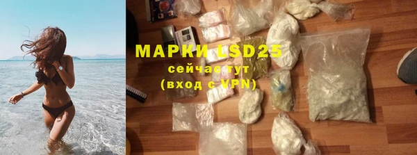 крисы Абаза