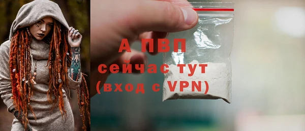 крисы Абаза