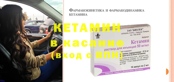 крисы Абаза