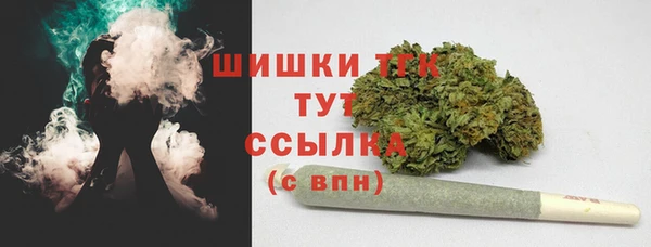 сатива Абдулино