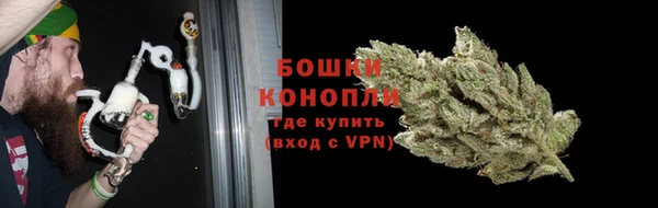 сатива Абдулино