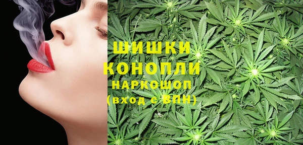 сатива Абдулино